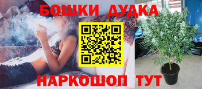 крисы Анжеро-Судженск
