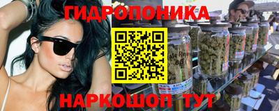 крисы Анжеро-Судженск