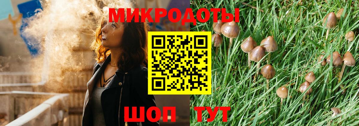 Псилоцибиновые грибы прущие грибы Губкинский