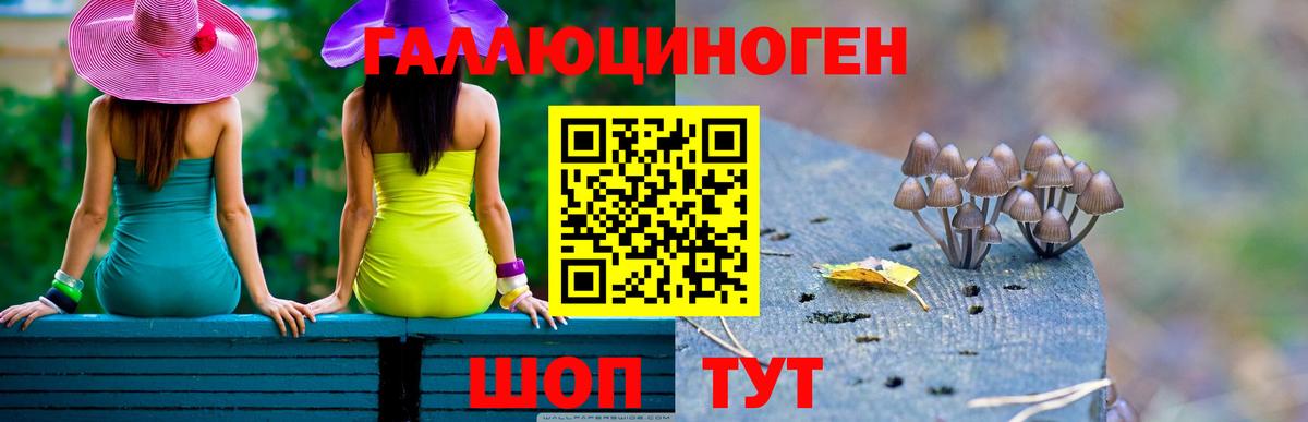Губкинский  Галлюциногенные грибы Psilocybe  Вход с VPN 